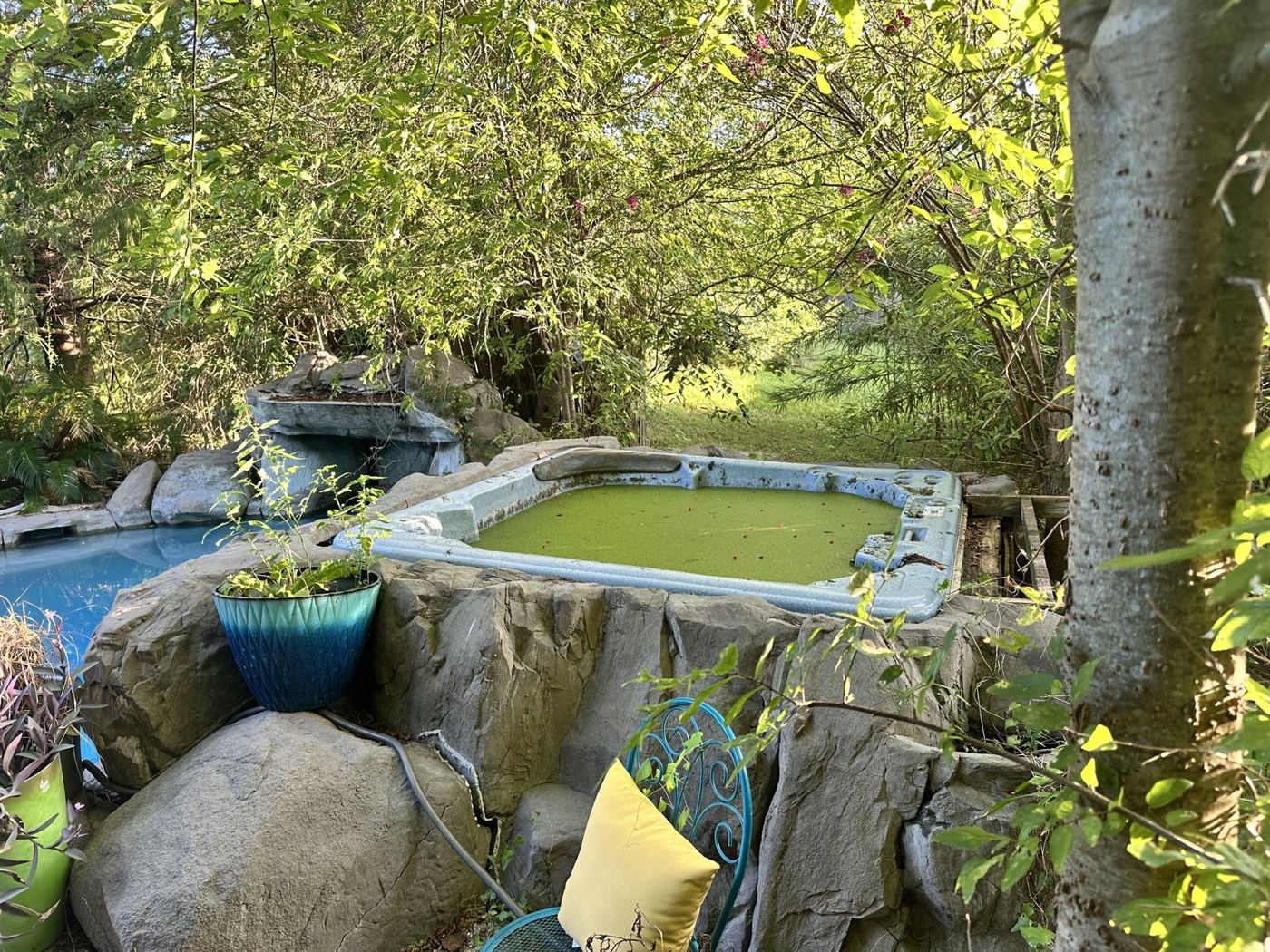 Before: an abandoned hot tub full of green water in a rock surround